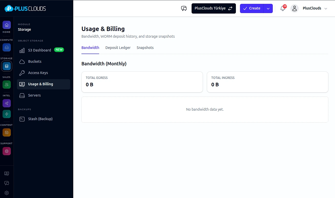 S3 usage & billing panel — PlusClouds