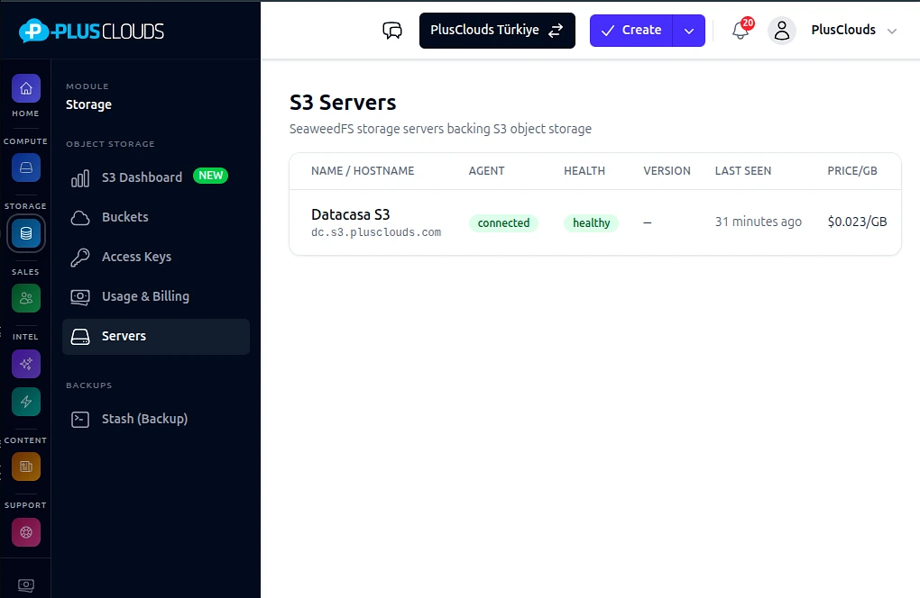S3 servers panel — PlusClouds SeaweedFS